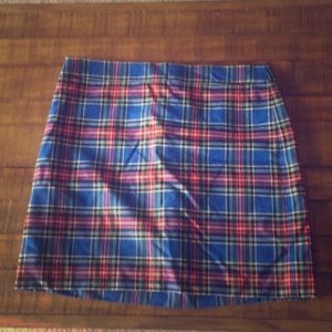 Jcrew skirt